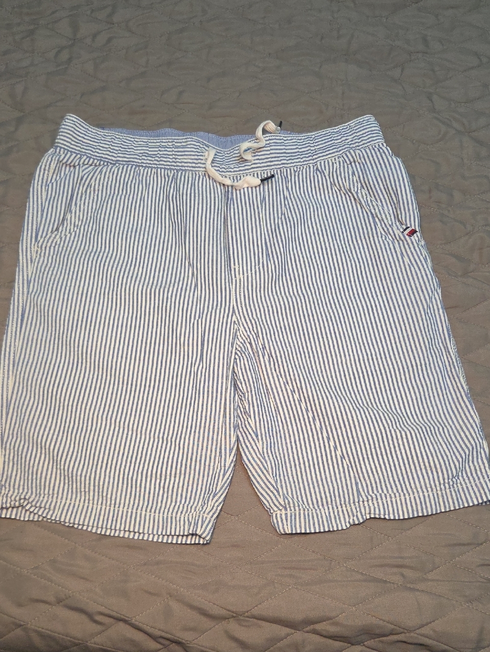 Tommy Hilfiger Boys Blue and White Striped Shorts